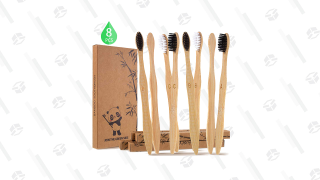 These Bamboo Toothbrushes Are $5 And Totally Biodegradable